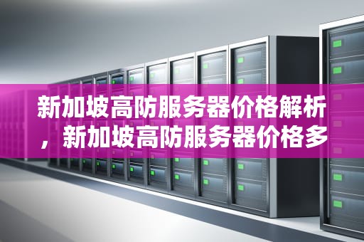 新加坡高防服务器价格解析，新加坡高防服务器价格多少
