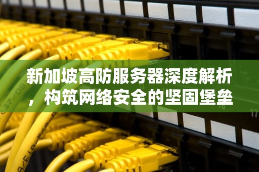 新加坡高防服务器深度解析，构筑网络安全的坚固堡垒，新加坡高防服务器是什么