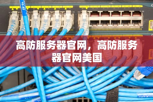 高防服务器官网，高防服务器官网美国
