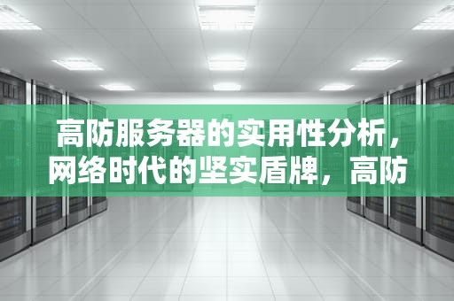 高防服务器的实用性分析，网络时代的坚实盾牌，高防服务器有什么用