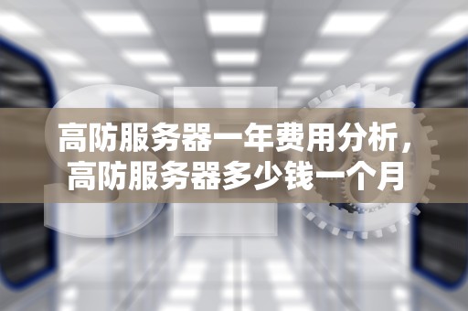 高防服务器一年费用分析，高防服务器多少钱一个月