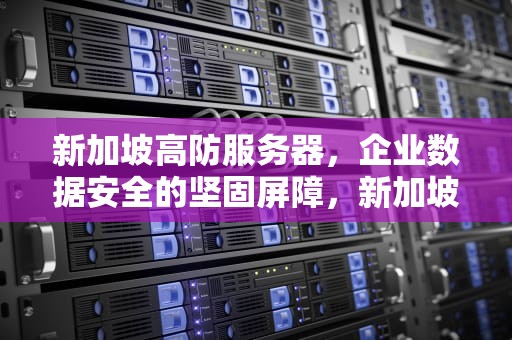 新加坡高防服务器，企业数据安全的坚固屏障，新加坡高防服务器有哪些
