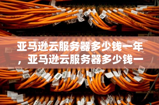 亚马逊云服务器多少钱一年，亚马逊云服务器多少钱一年收费