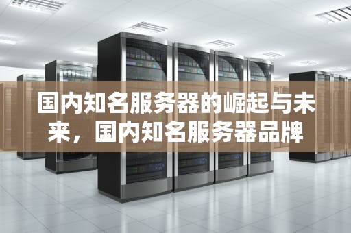 国内知名服务器的崛起与未来，国内知名服务器品牌