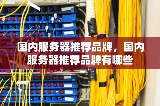 国内服务器推荐品牌，国内服务器推荐品牌有哪些