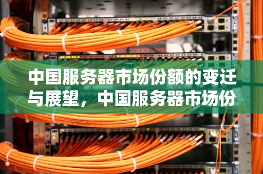中国服务器市场份额的变迁与展望，中国服务器市场份额排名
