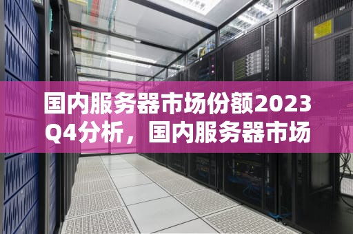 国内服务器市场份额2023Q4分析，国内服务器市场份额2024