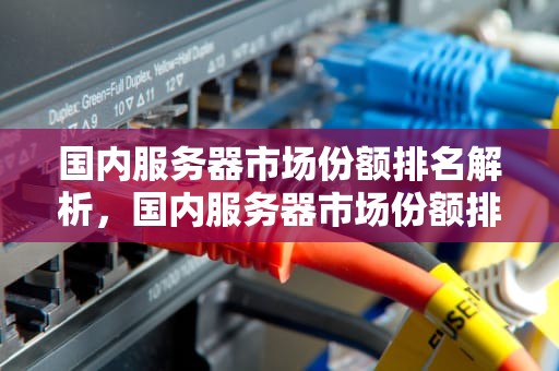 国内服务器市场份额排名解析，国内服务器市场份额排名前十