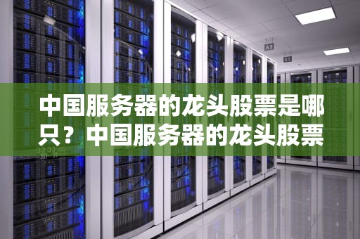 中国服务器的龙头股票是哪只？中国服务器的龙头股票是哪只股