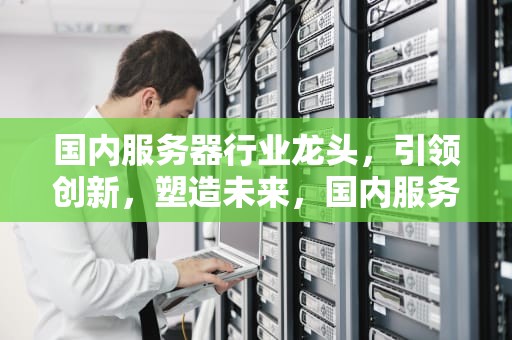 国内服务器行业龙头，引领创新，塑造未来，国内服务器行业龙头企业