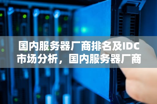 国内服务器厂商排名及IDC市场分析，国内服务器厂商排名