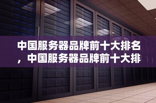 中国服务器品牌前十大排名，中国服务器品牌前十大排名榜