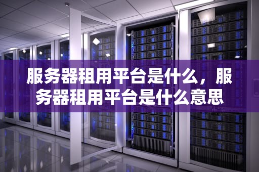 服务器租用平台是什么，服务器租用平台是什么意思