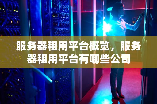 服务器租用平台概览，服务器租用平台有哪些公司