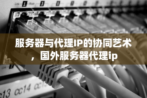 服务器与代理IP的协同艺术，国外服务器代理ip