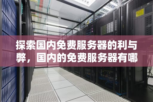 探索国内免费服务器的利与弊，国内的免费服务器有哪些