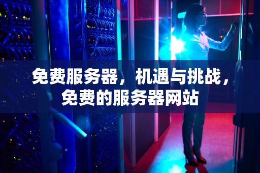 免费服务器，机遇与挑战，免费的服务器网站