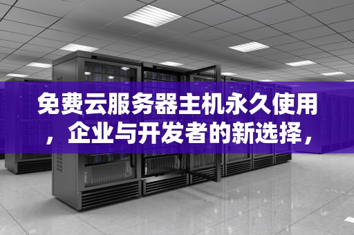 免费云服务器主机永久使用，企业与开发者的新选择，免费云服务器主机永久使用的软件
