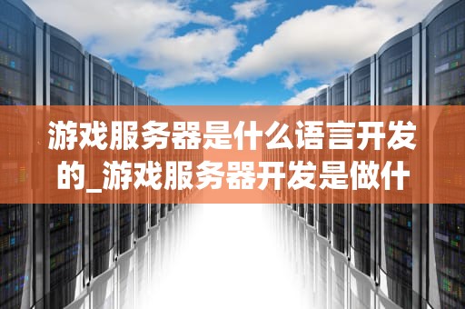 游戏服务器是什么语言开发的_游戏服务器开发是做什么的_游戏服务器开发的语言选择与实践