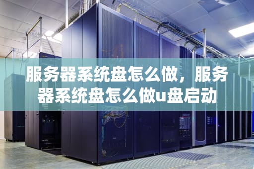 服务器系统盘怎么做，服务器系统盘怎么做u盘启动