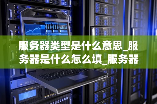 服务器类型是什么意思_服务器是什么怎么填_服务器类型及其应用