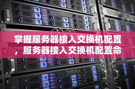 掌握服务器接入交换机配置，服务器接入交换机配置命令
