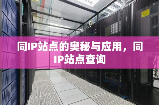 同IP站点的奥秘与应用，同IP站点查询