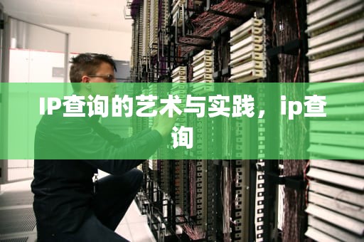IP查询的艺术与实践，ip查询