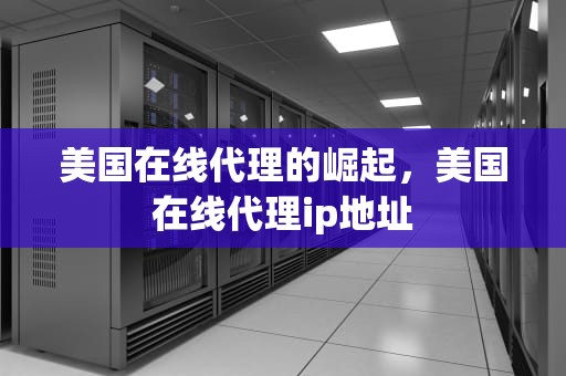 美国在线代理的崛起，美国在线代理ip地址