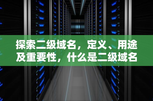 探索二级域名，定义、用途及重要性，什么是二级域名一级域名区别