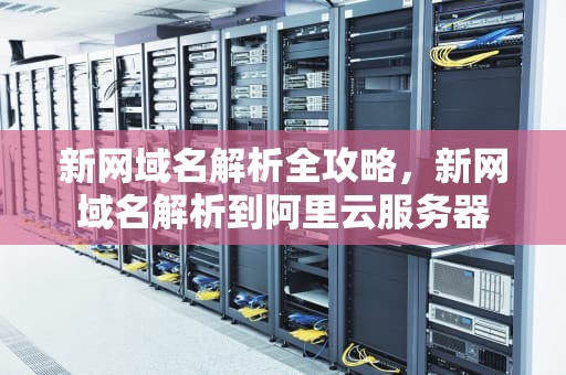 新网域名解析全攻略，新网域名解析到阿里云服务器