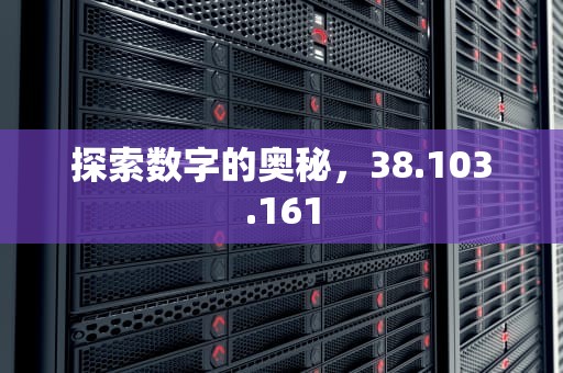 探索数字的奥秘，38.103.161