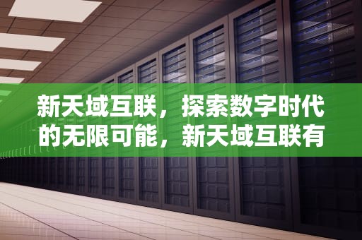 新天域互联，探索数字时代的无限可能，新天域互联有限公司