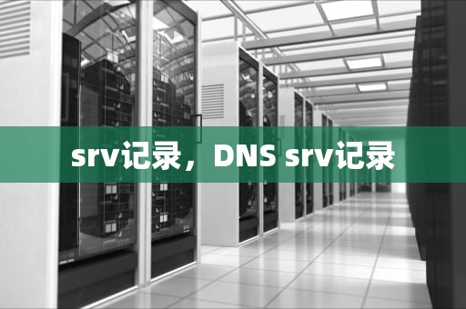srv记录，DNS srv记录