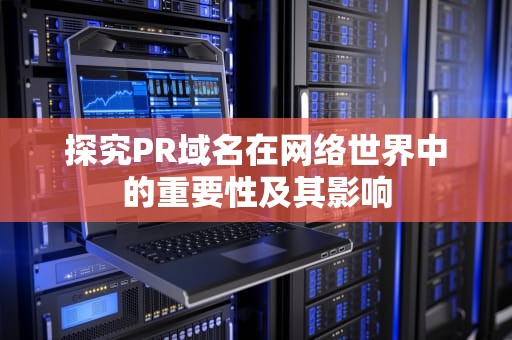 探究PR域名在网络世界中的重要性及其影响