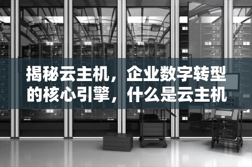 揭秘云主机，企业数字转型的核心引擎，什么是云主机 云主机能干什么
