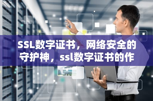 SSL数字证书，网络安全的守护神，ssl数字证书的作用