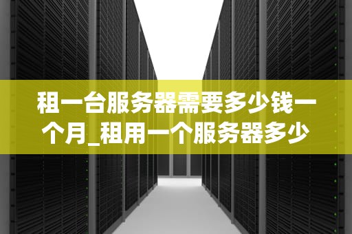 租一台服务器需要多少钱一个月_租用一个服务器多少钱_服务器租赁费用的全面解析