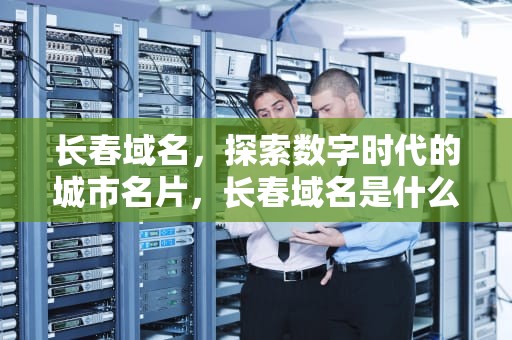 长春域名，探索数字时代的城市名片，长春域名是什么