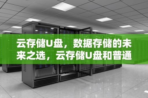 云存储U盘，数据存储的未来之选，云存储U盘和普通U盘区别