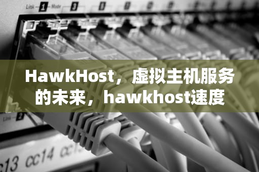 HawkHost，虚拟主机服务的未来，hawkhost速度