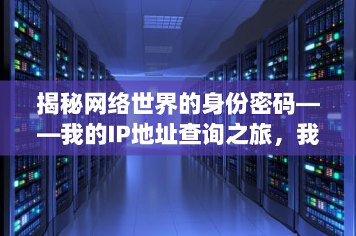 揭秘网络世界的身份密码——我的IP地址查询之旅，我的ip地址查询本机