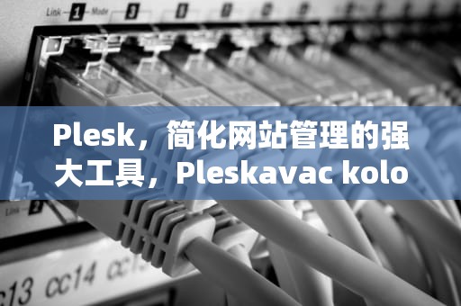 Plesk，简化网站管理的强大工具，Pleskavac kolo