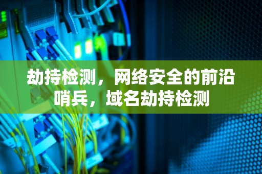 劫持检测，网络安全的前沿哨兵，域名劫持检测
