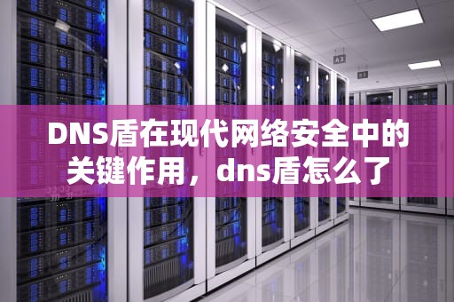 DNS盾在现代网络安全中的关键作用，dns盾怎么了