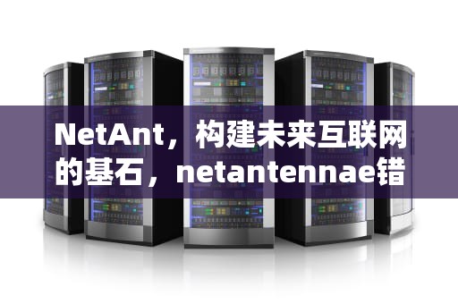 NetAnt，构建未来互联网的基石，netantennae错误