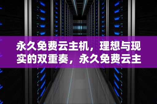 永久免费云主机，理想与现实的双重奏，永久免费云主机介绍!