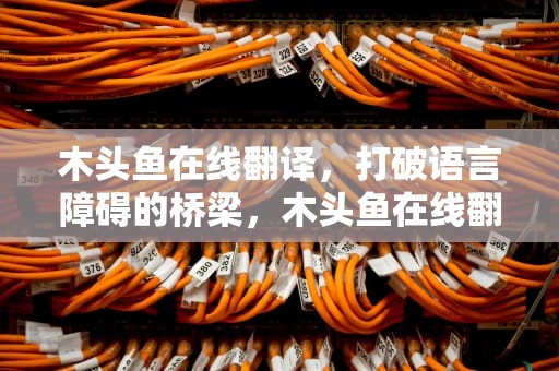 木头鱼在线翻译，打破语言障碍的桥梁，木头鱼在线翻译免费