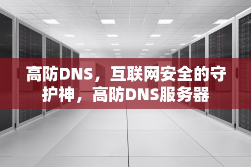 高防DNS，互联网安全的守护神，高防DNS服务器