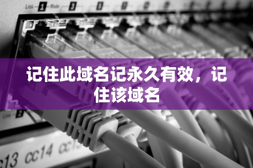 记住此域名记永久有效，记住该域名